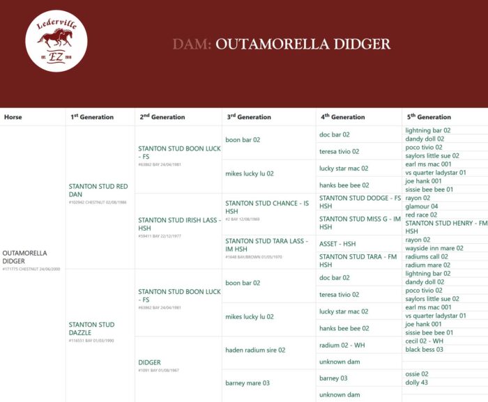 OUTAMORELLA-DIDGER