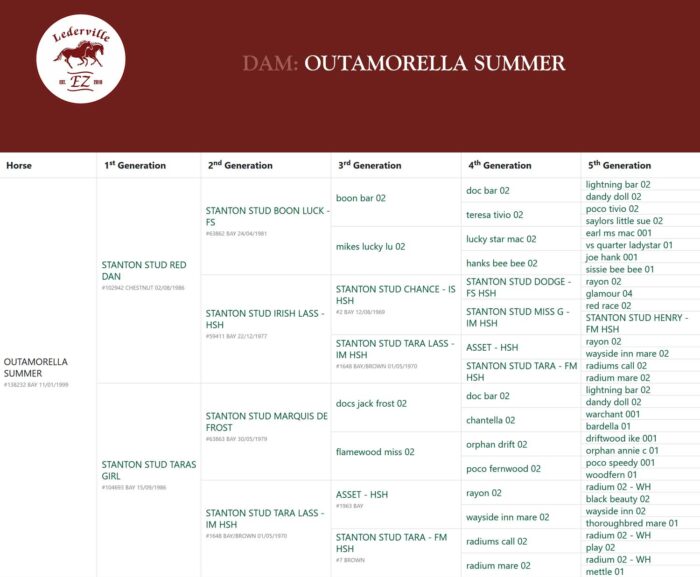 OUTAMORELLA SUMMER