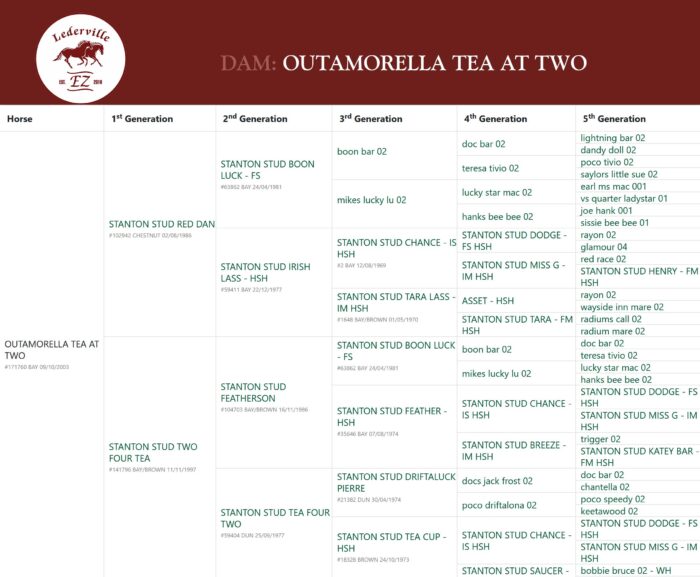 OUTAMORELLA TEA AT TWO