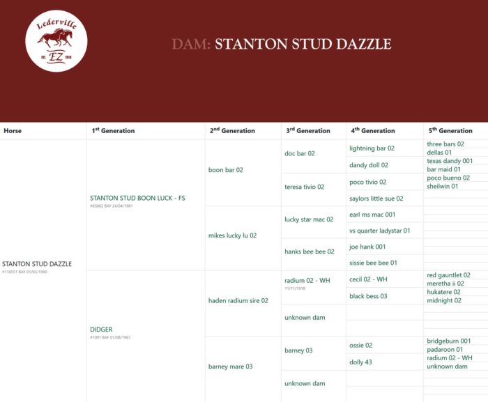 STANTON-STUD-DAZZLE