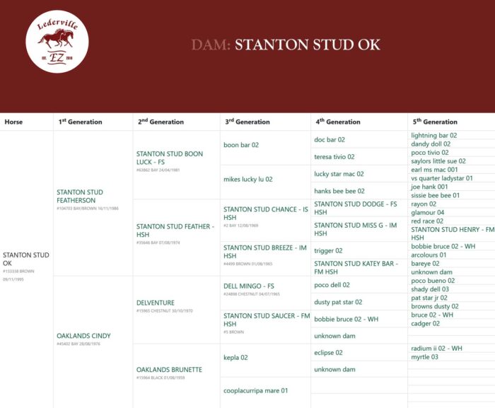 STANTON STUD OK